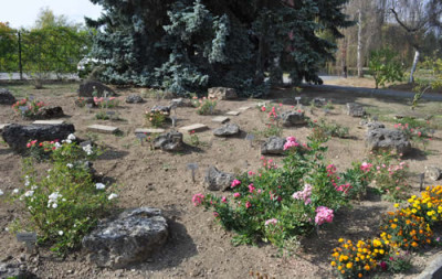 Minirosengarten_0011__1110.jpg