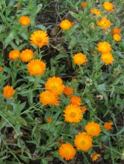 IMG_9400_99.jpg