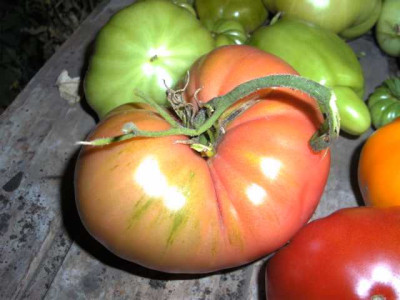 K640_Kopie_von_BILD6286.JPG