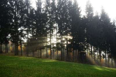 novemberlicht_11_2.jpg