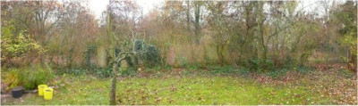Sichtschutzhecke.jpg