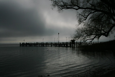 Nov.2611a.jpg