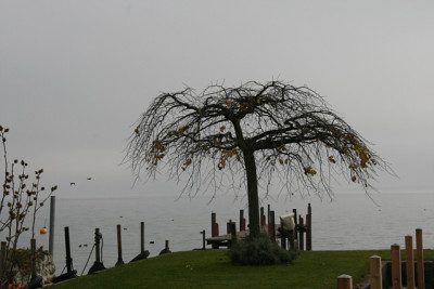 Nov.2811a.jpg