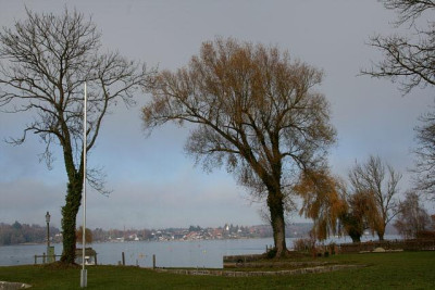Nov.3811a.jpg