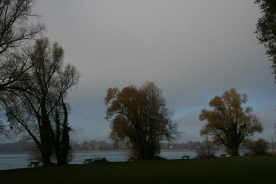 Nov.4011a.jpg