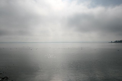 Nov.4911a.jpg