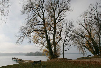 Nov.5111a.jpg