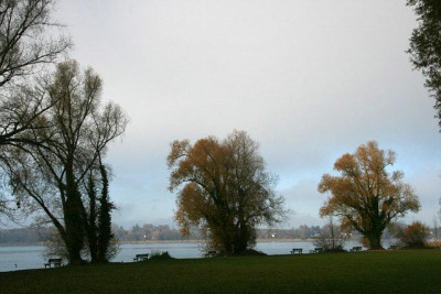 Nov-4011-a-Verlauf.jpg