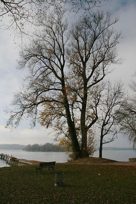 Nov.5211a.jpg