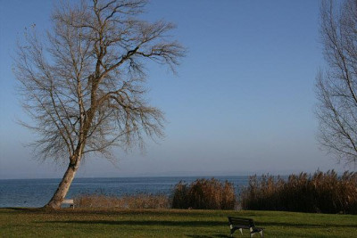 Nov.5711a.jpg