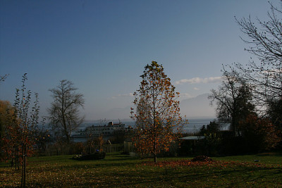 Nov.5811a.jpg