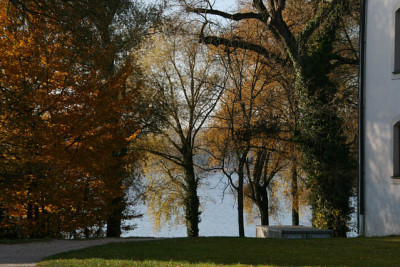Nov.7611a.jpg