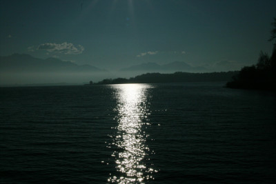 Nov.8111a.jpg