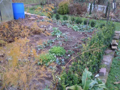 19.11.11_002.JPG