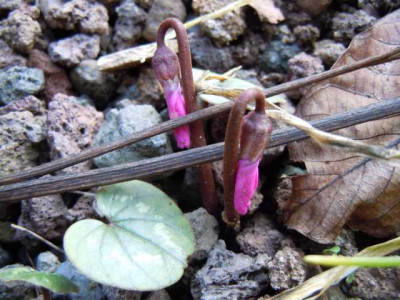19.11.11_007.JPG