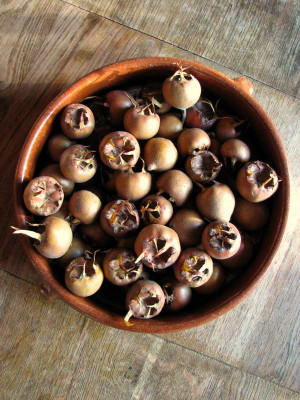 Mispelernte_2011.JPG
