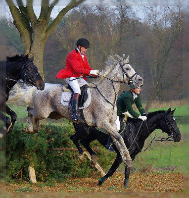 comp_comp_SUDERMUEHLEN110.jpg