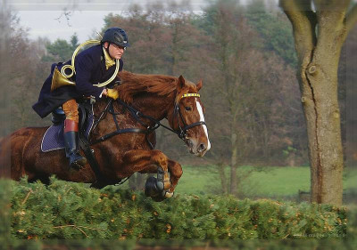 comp_comp_SUDERMUEHLEN099.jpg