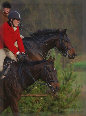 comp_comp_SUDERMUEHLEN106.jpg