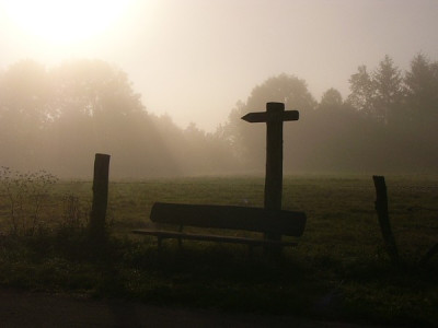 nebelmoncheweg.jpg