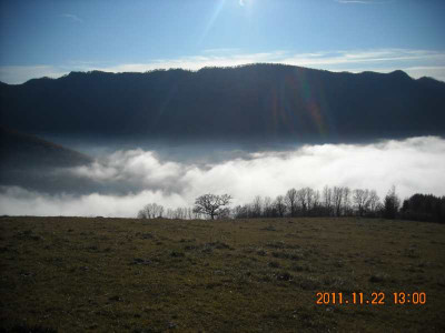 DSCN1173.jpg
