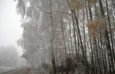 DSCN0019_kl.jpg