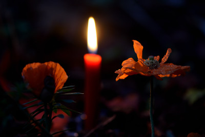 Advent-Advent-Nov2611.jpg