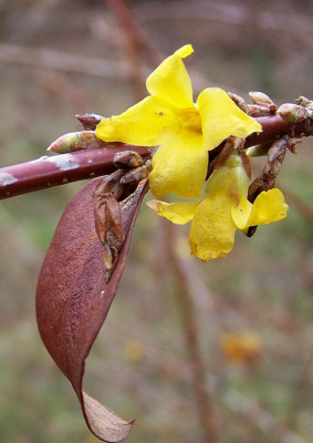 100_4790.jpg