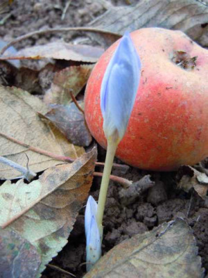 FA_26.11.11_035.JPG