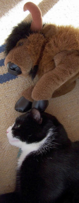 100_4832.jpg
