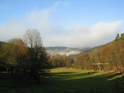 letzter_Nebel.jpg