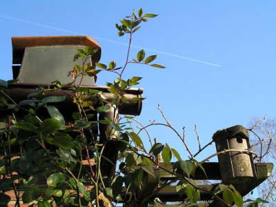 garten291111.jpg