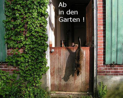 Jippie_indenGarten.jpg