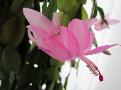 111202_4a.jpg