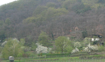 Garten_20050416.jpg