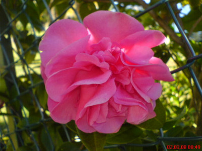 DSC00041.JPG