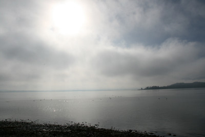 Nov.5311a.jpg