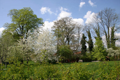 April0309a.jpg