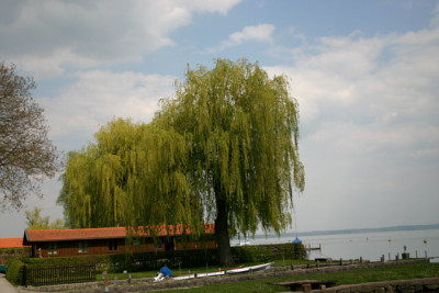 April1109a.jpg