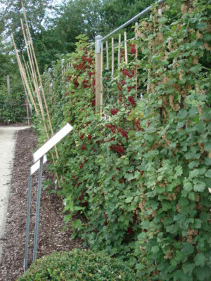 DSC00545.JPG