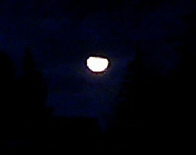 Mofi_10.12.11.jpg