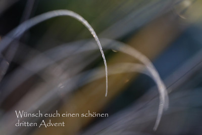 Dritter-Advent.jpg