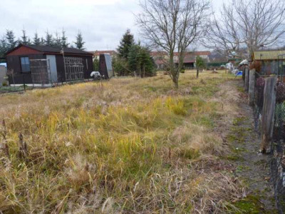garten__1.jpg