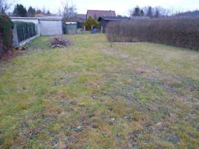garten__2.jpg