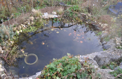 Te_0011__12621.jpg