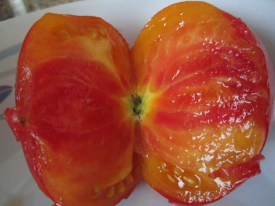 k-tomaten_und_Gemuse_092.JPG