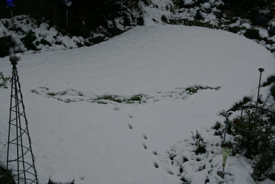 Winter0611.jpg