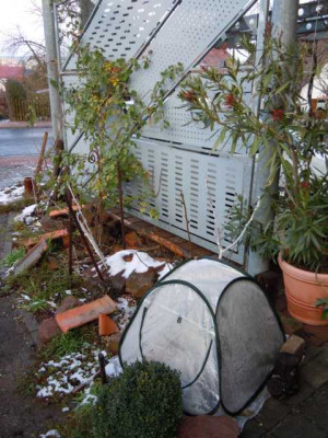 Eine_Woche_bis_Weihnachten2011_012.JPG