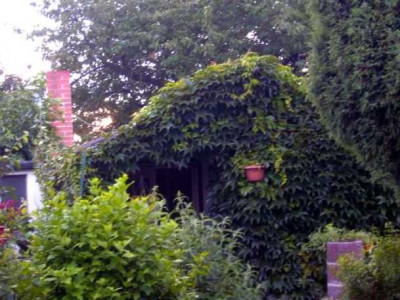 K640_Kopie_von_Kopie_von_BILD1342.JPG