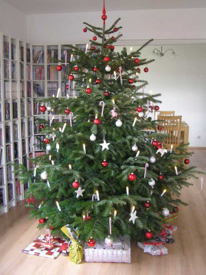 christbaum2011.jpg
